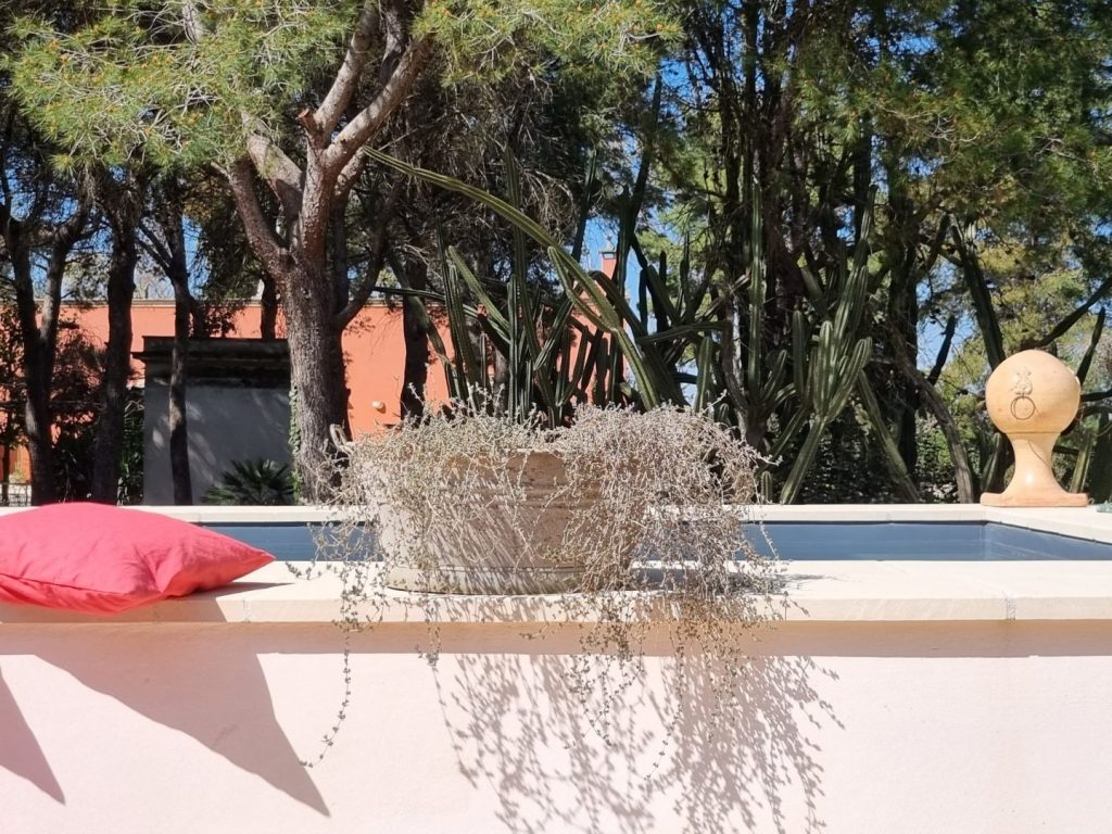 Petra Country House Invites You to Experience the True Heart of Southern Italy
