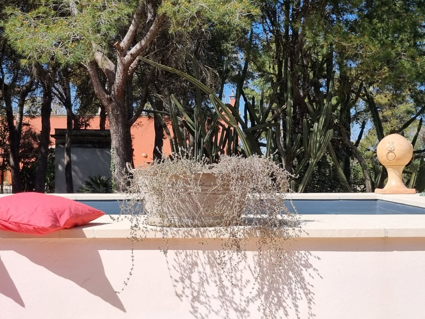 Petra Country House Invites You to Experience the True Heart of Southern Italy