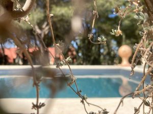 Petra Country House: Un Soggiorno tra i Vigneti