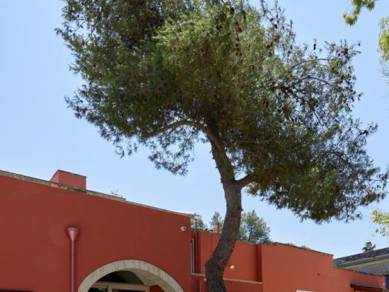 Petra Country House: Visit Porto Cesareo and Lecce